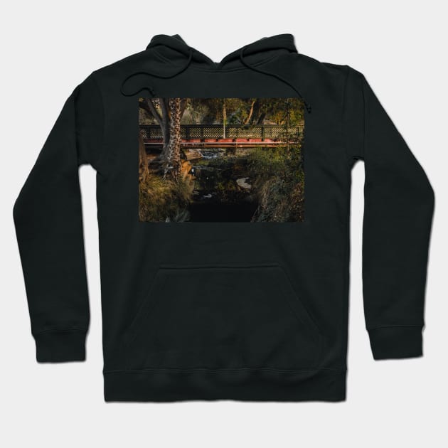 Peaceful Stream of Water Flowing under Bridge V3 Hoodie by Family journey with God